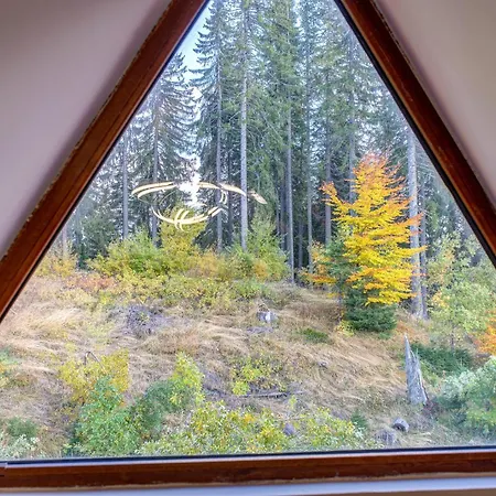 Apartment Floor Ski-in Pamporovo