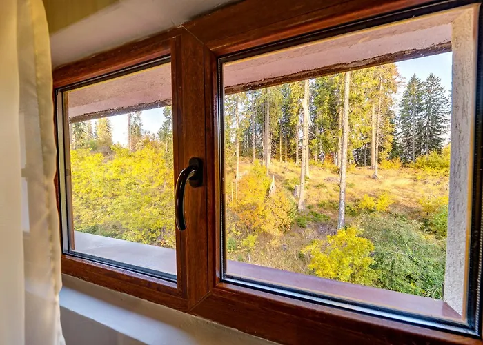 Floor Ski-in Apartment *